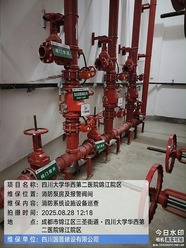 d17be59d-85f0-4c82-97e5-5a7736636df1