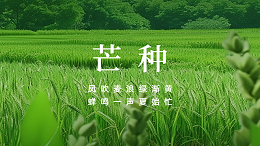 国晋：今日芒种