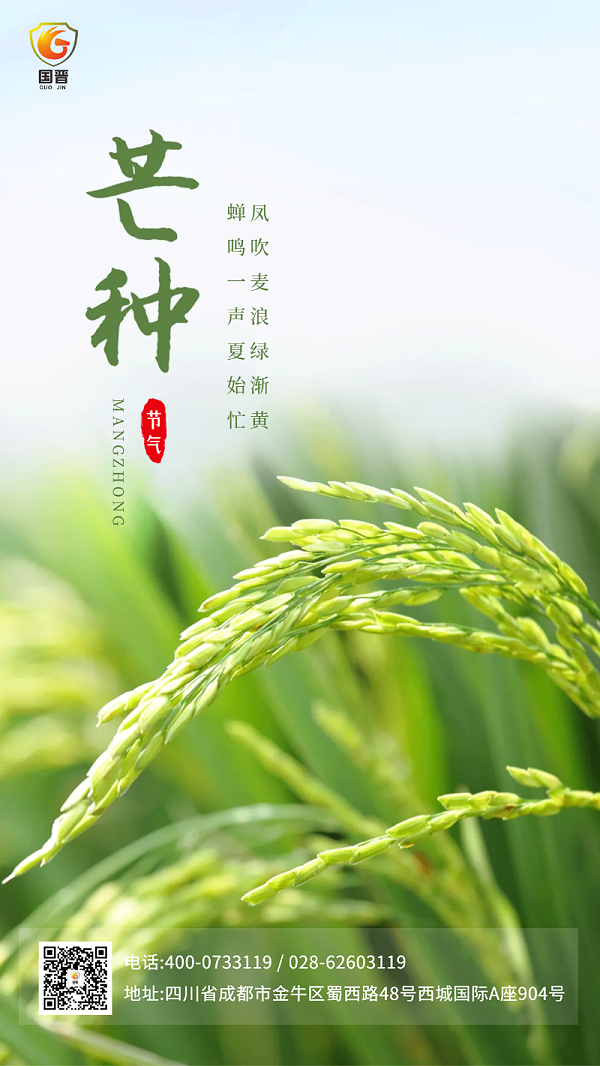 芒种 国晋