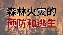 国晋消防-小知识科普之森林火灾的预防与逃生