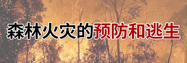 森林火灾的预防和逃生-700