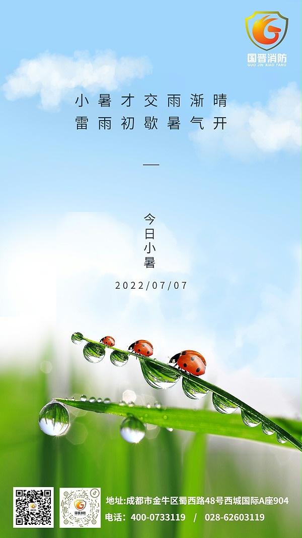 小暑节气夏天绿植中式实景手机海报
