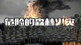 危险的森林火灾--四川国晋消防
