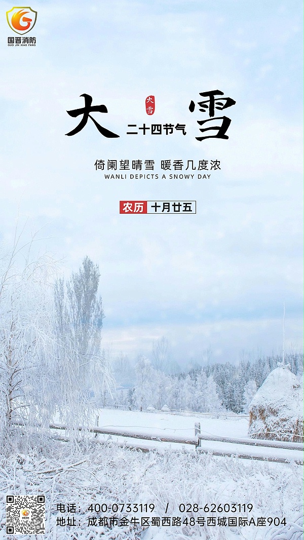 大雪节气全屏雪地实景祝福手机海报